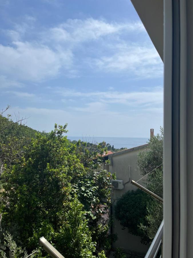 Apartmani Rezevici Budva Luaran gambar